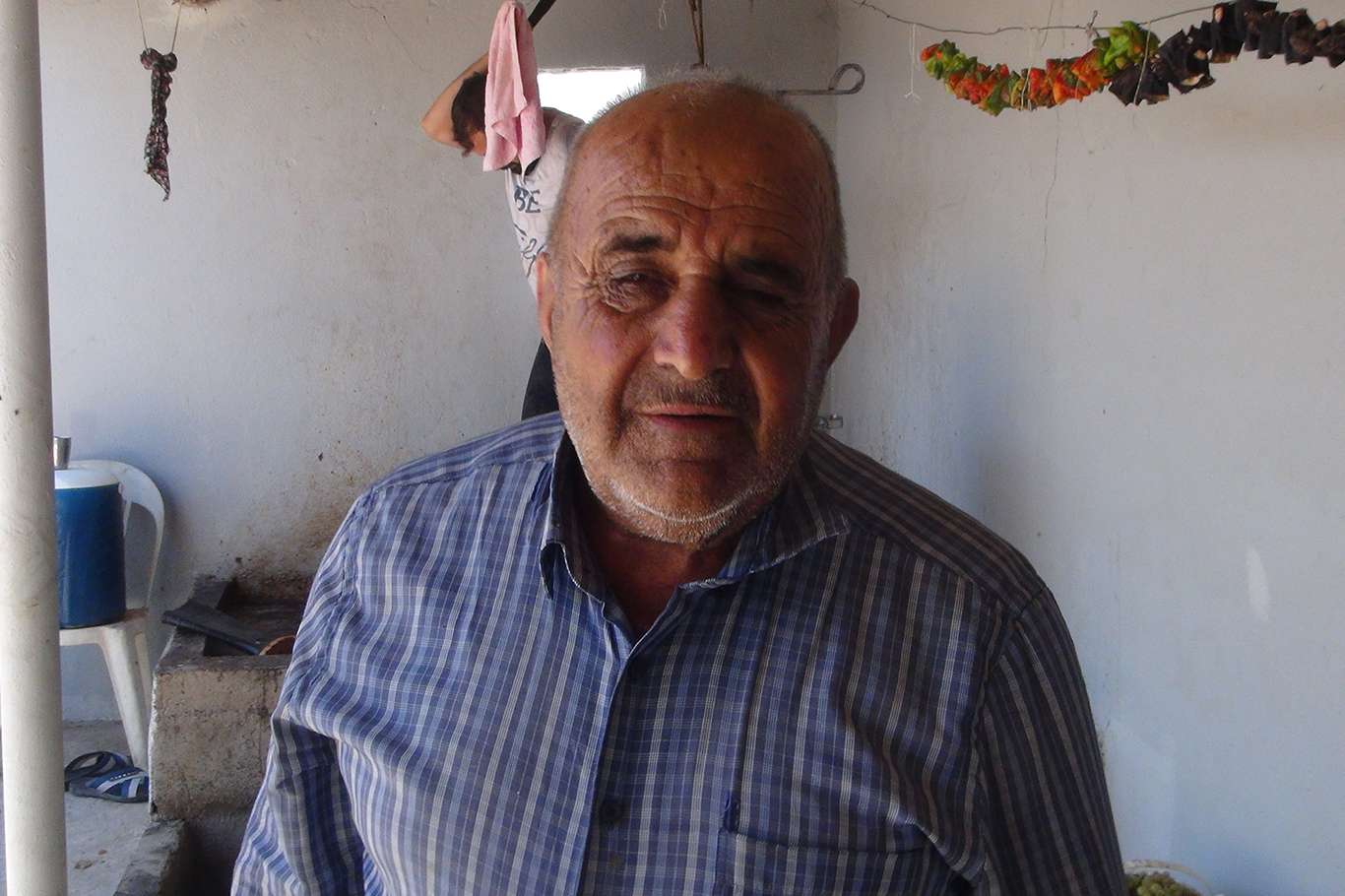 Üzümün pekmez ve pestil olma yolculuğu başladı
